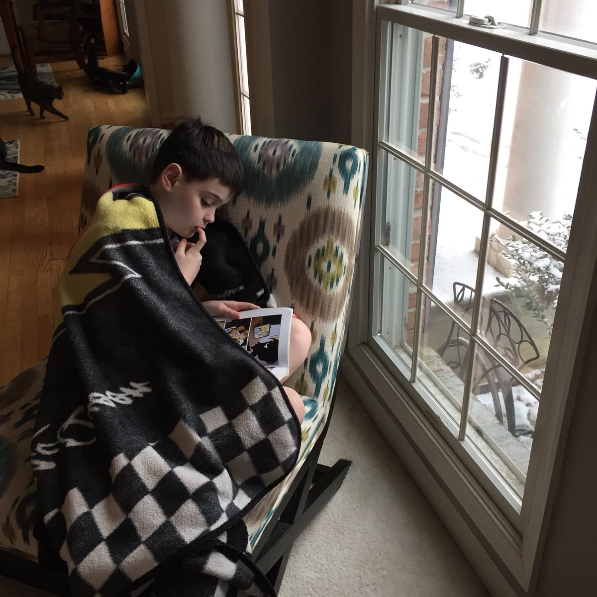 heidihoheidi tweet media