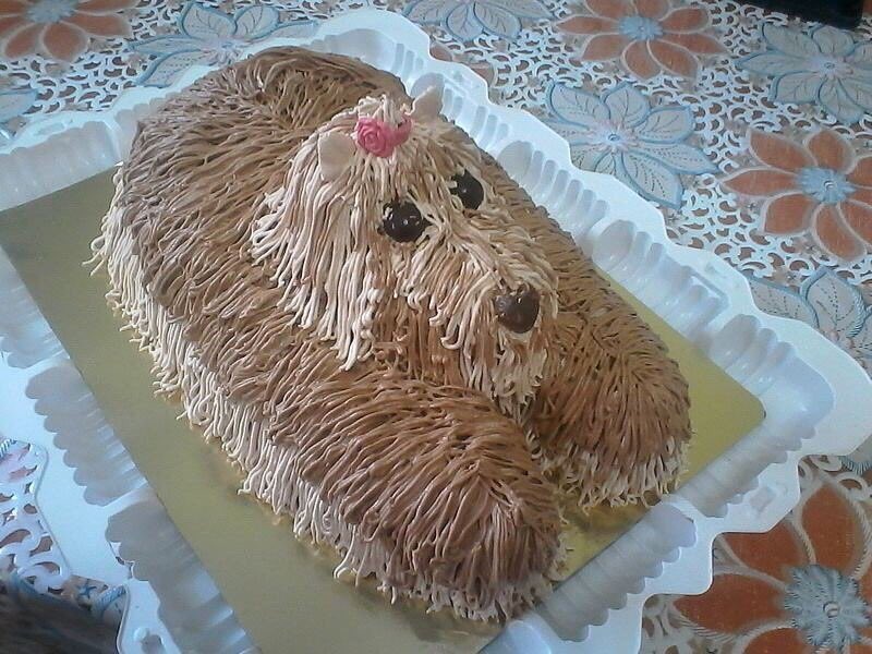 StrangeCakes's tweet photo. https://t.co/XTMOUDK9j2