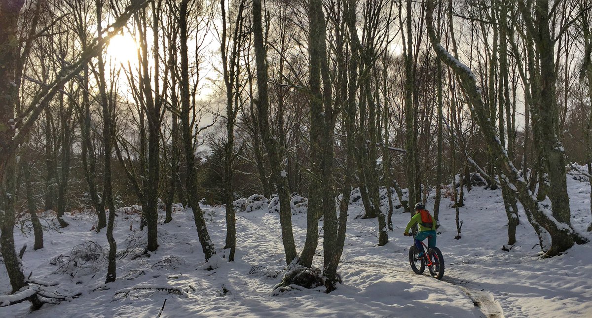 Strathpuffer tweet media