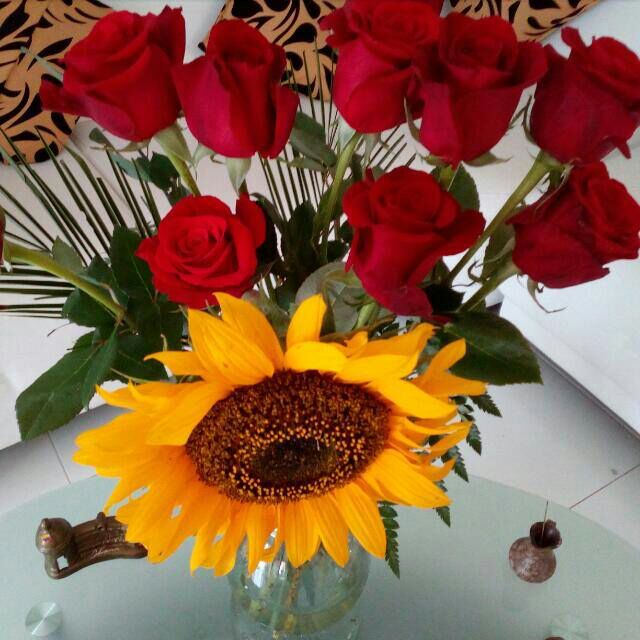 @natachagatatoby2 tweet media