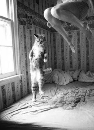 nochkanouche's tweet photo. @Noo_nuite @Mika_Felin @DjaelleAvril Bonjour ma Tite Noo je vois que tu as bien démarrée ta journée 😅😉 gros bisous 💋💋💋💜 https://t.co/7Fbb7bOb3S
