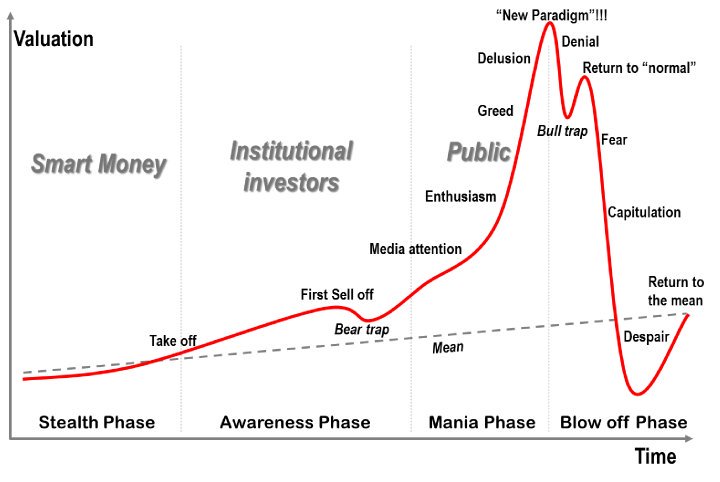 Side by side, the bitcoin price index for one whole year, and a literal textbook example of an asset bubble