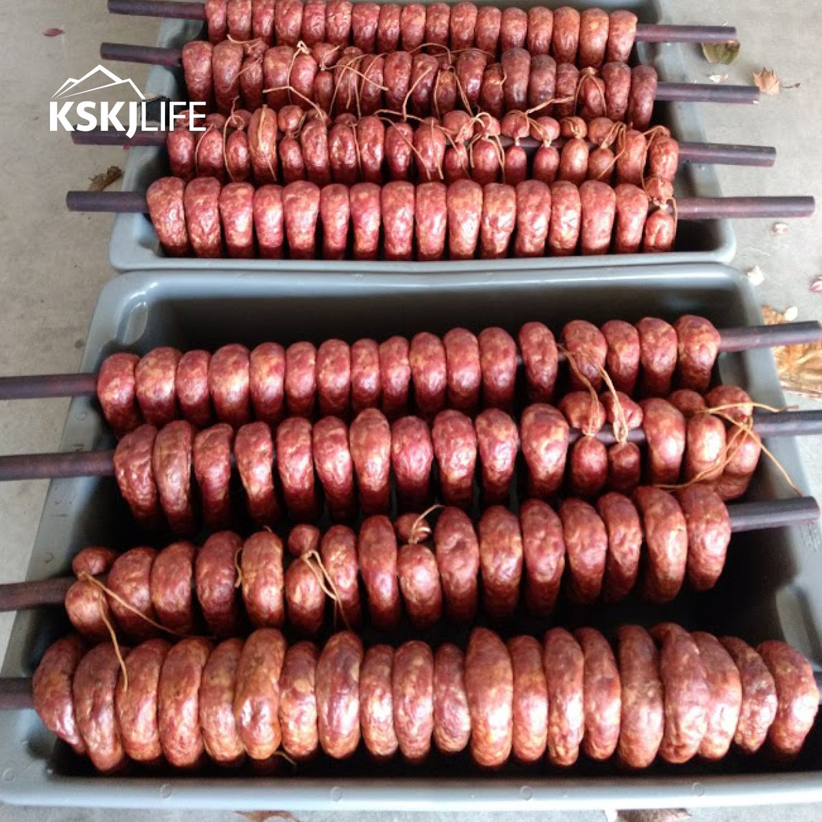 KSKJ Life tweet media