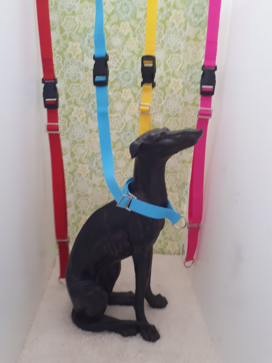 AngieDustymoon's tweet photo. Made to order Martingale style neck straps for dog groomers #doggrooming#doggroomersuk#doggroomingsupplies#petsupplies https://t.co/zYohyE5yjj