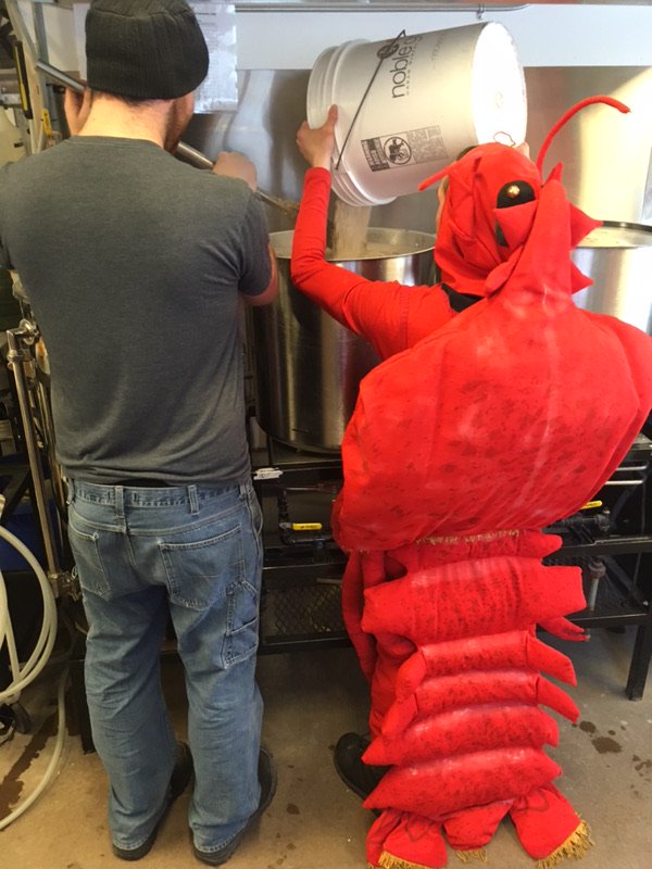 Brewing craft beer is really a crustacean...err...creative process!  Jon was elated to be able to dress up for the occasion.  Check out:  LobsterCrawl.ca   #crustaceanelation