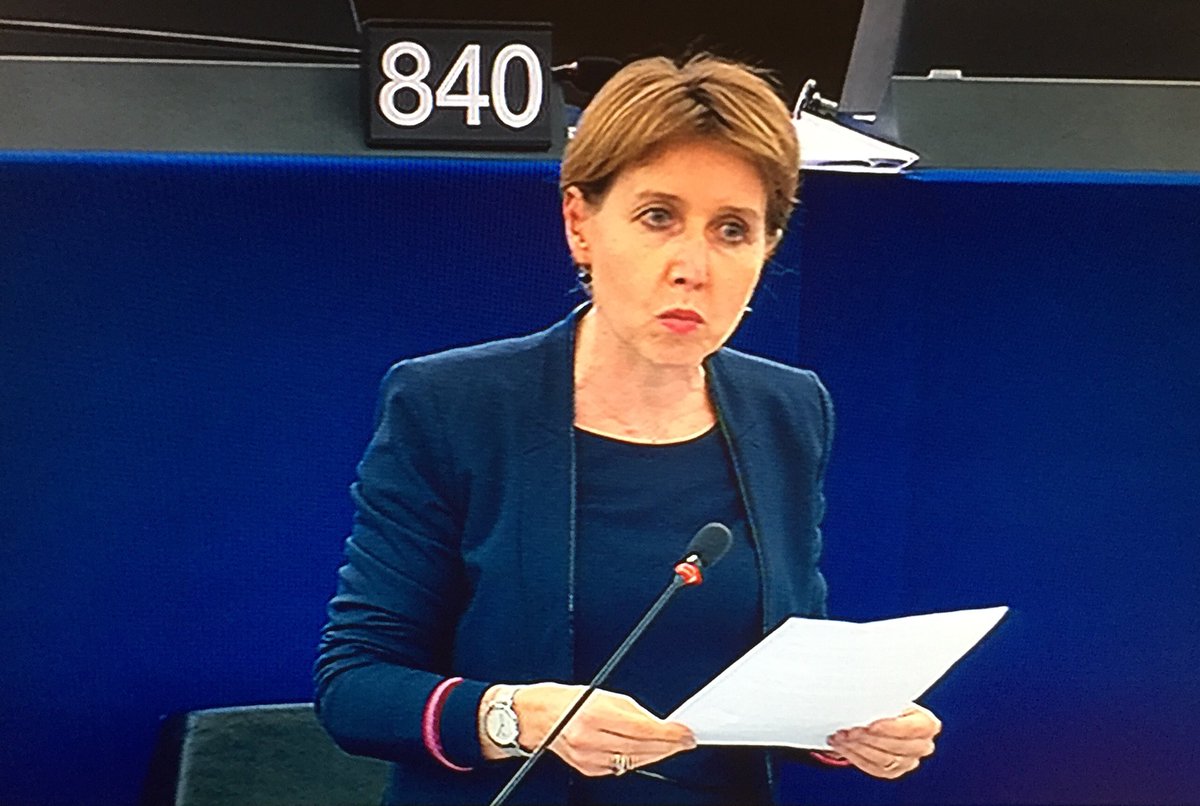 AnneSanderElue's tweet photo. Je suis intervenue à @PEStrasbourg pour évoquer l’Initiative pour l’Emploi des Jeunes, visant à lutter contre chômage des jeunes. 
J’ai rappelé qu’il fallait sanctuariser les fonds de ce dispositif et qu’il était important que États jouent le jeu par un vrai cofinancement #Europe https://t.co/CUCzQ1aE6i