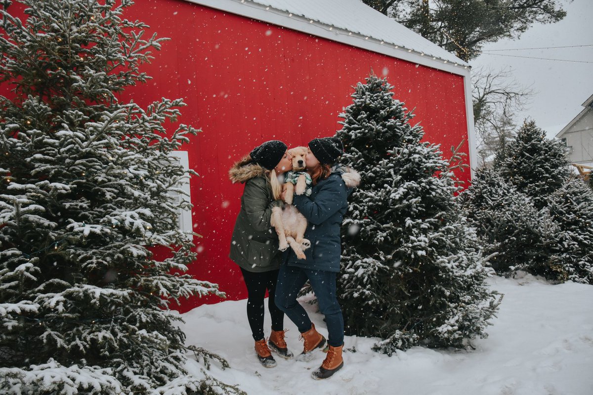 LLBean's tweet photo. Thanks to everyone who entered our #LLBeanNLContest and shared your photos of family holiday fun from our @LLBeanFreeport Northern Lights Celebration! Congratulations to our 3 winners: Brooke E., of Bangor, ME, Lauren S. of Portland, ME and Cait B. of Jackson, NH. https://t.co/p7id0fWFuS