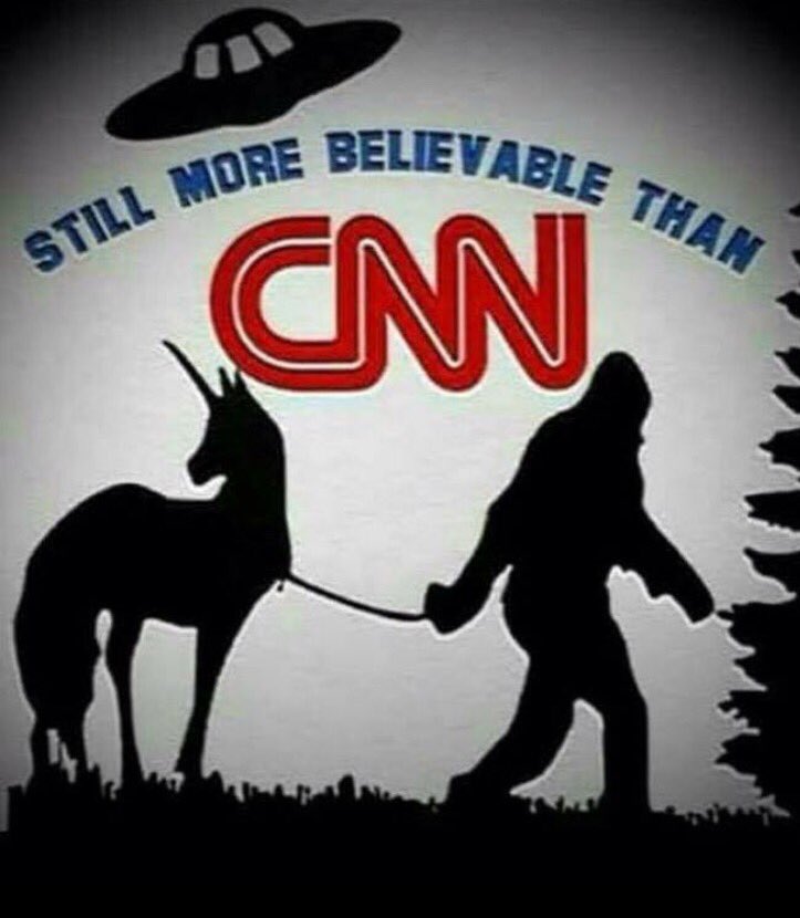LizCrokin's tweet photo. Happy #FakeNewsAwards Day everyone! https://t.co/jBv7YdiwbG