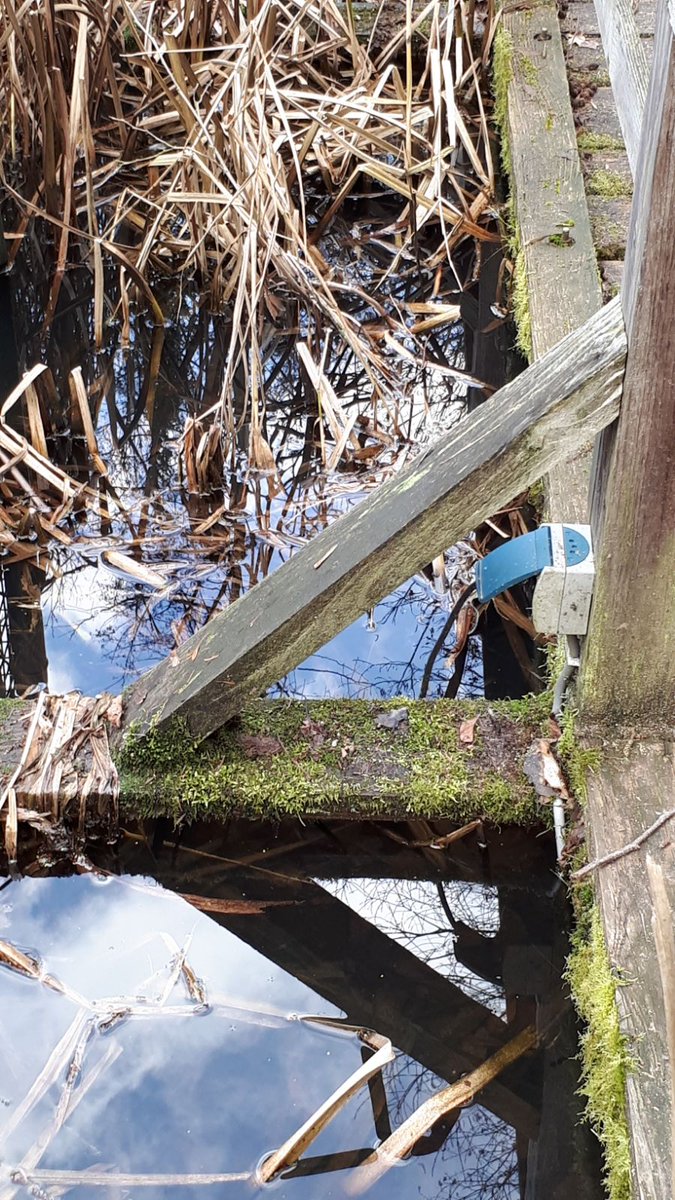 Ooit heb ik iets gelezen dat elektriciteit en water geen vrienden zijn...weet alleen niet meer waar....? #zitaljarenzo