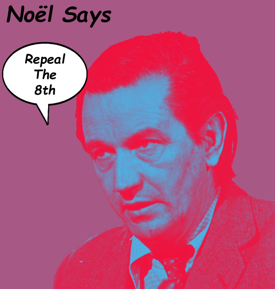 HitchensBrowne's tweet photo. #8thCommittee #repealthe8th https://t.co/nSym8rDZY2