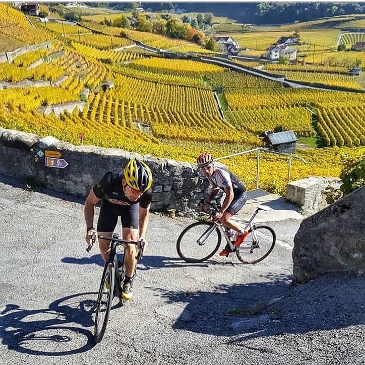 td_sportswear's tweet photo. We look forward to the spring! What about you?👌🌞. #cycling #cyclist #cyclo #cycliste #cycle #cyclinglife #lifebehindbars #feelthefreedom #tdsportswear #fietsen #racefiets #wielrennen #sunny #wednesday #road #bike #cyclinglove #beautiful https://t.co/Yo9zf8Zuuy