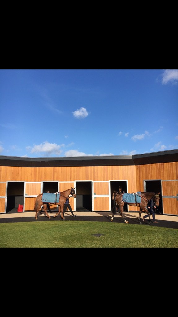 Fitzdares's tweet photo. As always, it’s been a glorious day at Newbury, in every sense of the word. A fine day of racing and great company 🌞 
#Congratulations to all those involved with 5 Hertford Street Racing Club on Whatswrongwithyou’s win in the 1.50pm. A fantastic run! 🍾 #FewHaveIt #Winner https://t.co/OhLe1YRTAd