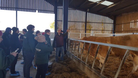 redoakfarm1's tweet photo. Had a great morning today hosting a visit from a bunch of lovely people over from Ireland on the YBFSP visit to the UK. Thanks @DawnMeatsAgri for again introducing me to some wonderful people @dawnmeatsgroup @MacranaFeirme #cuddlycows https://t.co/ATM2JunDvM