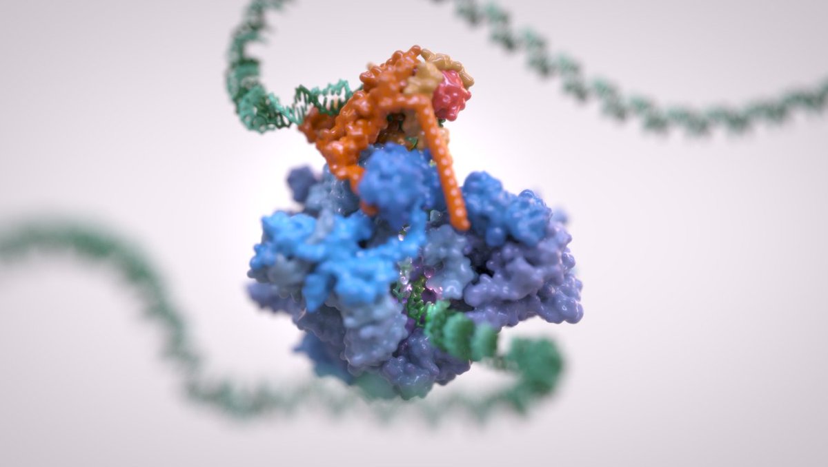 ICR_London's tweet photo. BREAKING: ICR scientists, led by @VanniniLab, have unveiled incredible images of how the DNA code is read and interpreted – revealing new detail about one of the fundamental processes of life. https://t.co/dz6qaJQeLr https://t.co/vzCBPtwspU