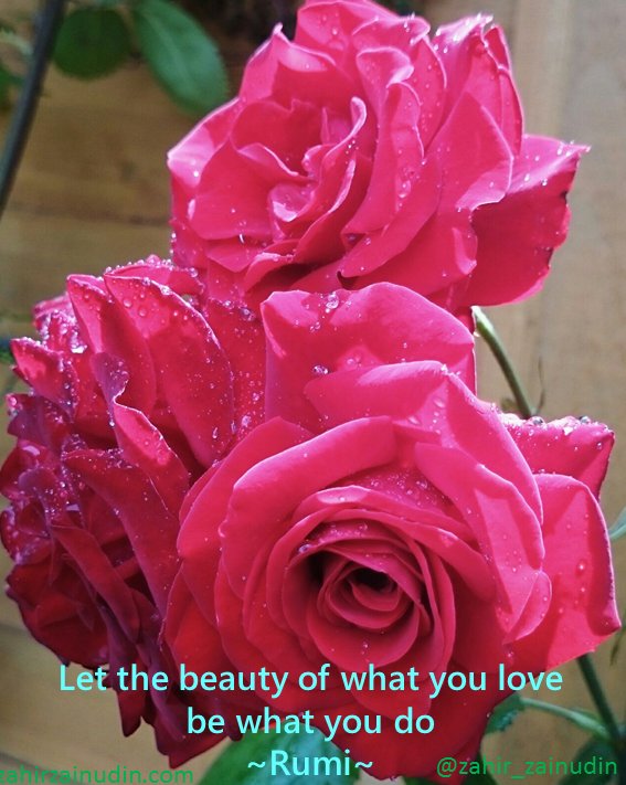 Let the beauty of what you love be what you do
~Rumi~