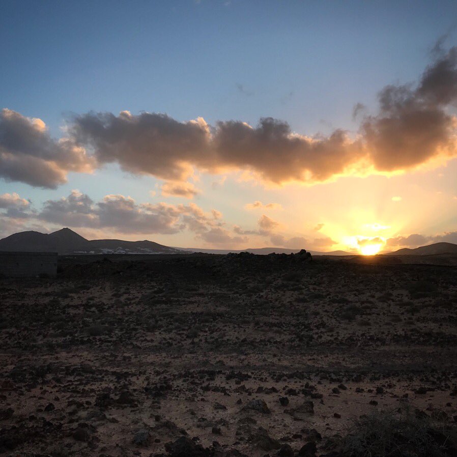 An early morning run 🏃‍♂️ when your training ground looks like this is that little bit easier. #trails #training #running