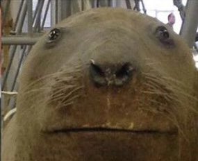 DTwz29pXUAId95o.jpg:large