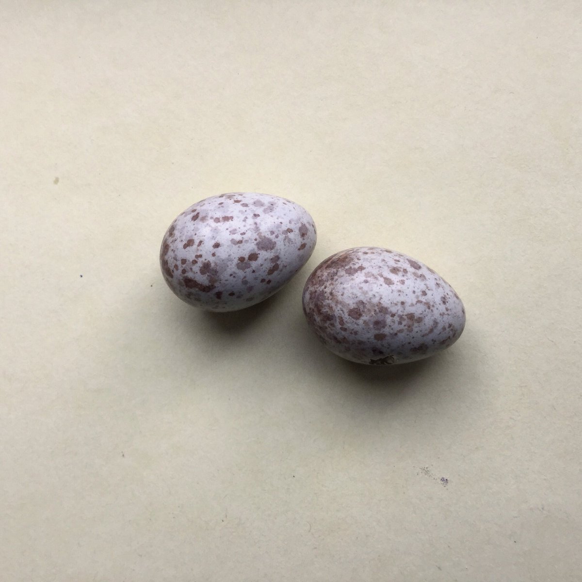 BridgetBailey3's tweet photo. I saw a beautiful old collection of eggs at a friend’s, and was able to pick them up and photograph them. They belonged to his grandfather.
#ofitstime #birdseggs #textileart #patterns https://t.co/zcrNscsjPP
