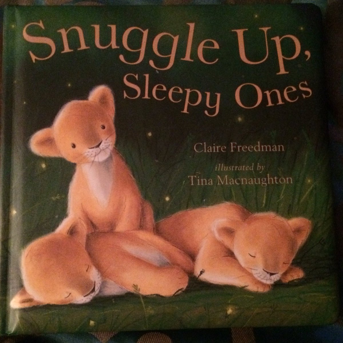Amy's solid object choice is her Snuggle Up book.  <a href="/MsBirchard/">MsBirchard</a>