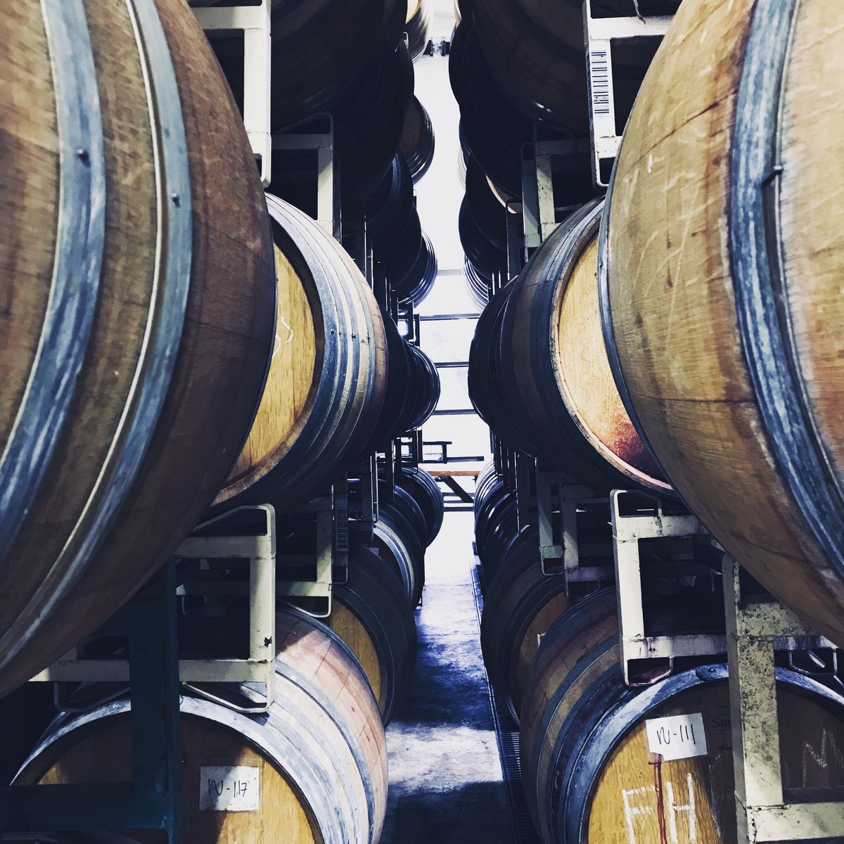purplehandswine's tweet photo. Here’s one view of malolactic fermentation happening right here at the Purple Hands Winery. 

#2017vintage #purplehandswine #purplehandswinery #purplehandspinot  #drinkhistory #pinotnoir #oregonpinot #bloodoftheearth #WSTop100 #willamettevalleywineries #dundehillsava https://t.co/pxrFxID7R0