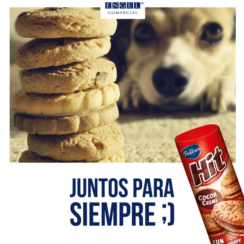 Comercial_Engel's tweet photo. Eres con quién quiero pasar el resto de mi vida <3 https://t.co/Tq09T9hunL