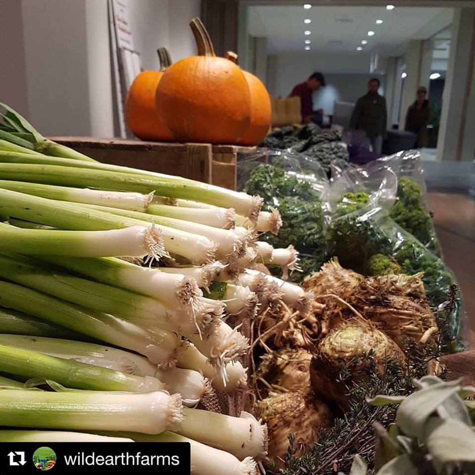 jcochraneCTV's tweet photo. Did you know there is a downtown farmers market ALL winter long in Winnipeg? @RachelLagacectv did! she's live there all morning Thursday! @dtwpgfarmersmkt #finallyinside #happyreporter #supportlocal https://t.co/nYpVvDcQIz