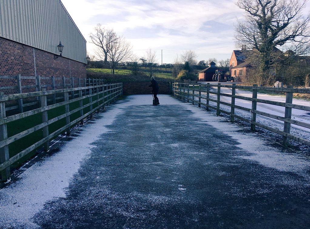 WalnutHillVets's tweet image. Frosty work at the clinic today clearing the trot up area! Hope you all stayed safe on the roads and on the yards #frost #januarysnow #coldwork #247equestrian #commitment #vetwork #trotup