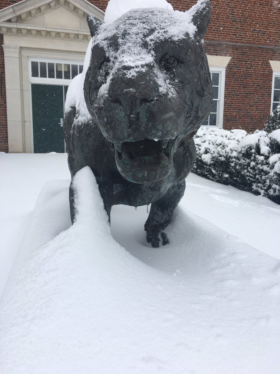 ❄️❄️❄️❄️ 🐅🏈