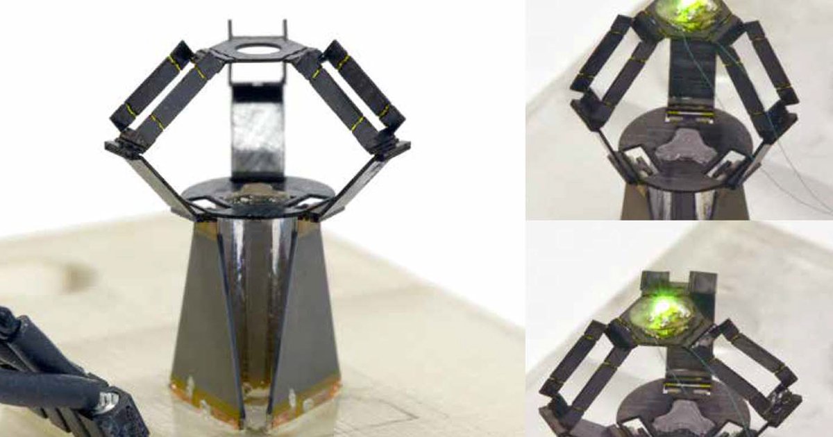 BotJunkie's tweet image. Harvard's milliDelta Robot Is Tiny and Scary Fast dlvr.it/QBdzWv