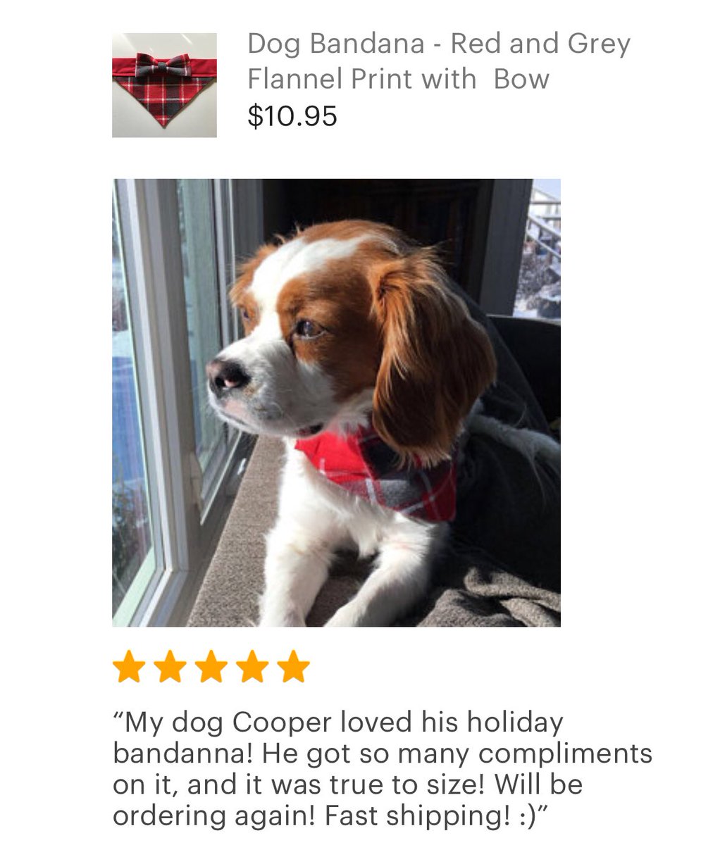 SpottedDogShop's tweet image. Thank you for the sweet review Jessica! Cooper is the cutest! 🐶❤️❤️❤️ #Etsy #dogbandana #snowday #etsytribe #flannellove