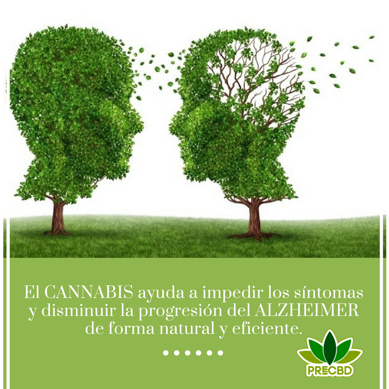 CBDpro1's tweet photo. Beneficios del #Cannabis en el #Alzheimer #PreCBD #España #CannabisEspaña #CannabisMadrid #CBDAceite #CBDCaramelo #familia #Mujeres #Hombres #Estrés #Salud #EstiloDeVidaSaludable #Inflamación #CBDParaMascotas #SinDolor https://t.co/Pk6zE9zt7g