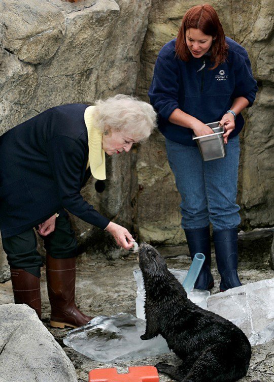 Monterey Bay Aquarium tweet media