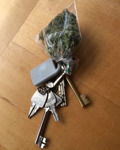 PotValet's tweet photo. Now you will never loose your key.
.
.
..
#marijuanakeys #weedmemory #SantaMonica #CulverCity #BeverlyHills #Greenday #cannabis #marijuana #medicalmarijuana #marijuanafacts #weed #hemp https://t.co/k3ZefXmnQB
