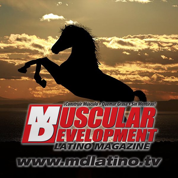 XzenLabs's tweet image. MDLatino (Muscular Development Latino Magazine.)📖 Una empresa joven encargada de inspirar, orientar y ofrecer las herramientas necesarias para impulsar Fitness y Bodybuilding en America Latina. @MDLATINO #mdlatino #fitness #mdlatino #bodybuilding