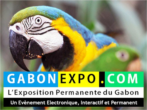 A partir de 1000 Fcfa/mois soit 12.000 Fcfa/an seulement pour les TPE > Créez le STAND VIRTUEL et PERMANENT de votre entreprise dans GABONEXPO.COM, l'Exposition Permanente du Gabon sur internet, Ouvert 24/24h 7/7h >>> INSCRIPTION DIRECTE >>> jexpose.gabonexpo.com
