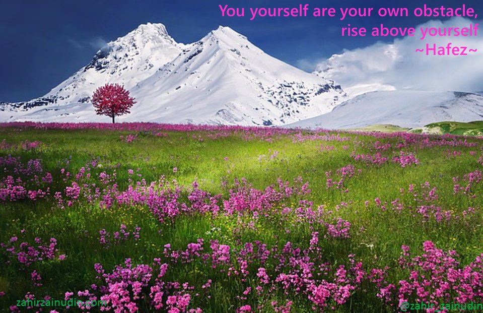 You yourself are your own obstacle, rise above yourself
~Hafez~