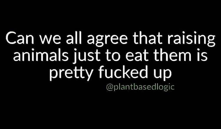 Eat Vegan Already (@eatveganalready) on Twitter photo 