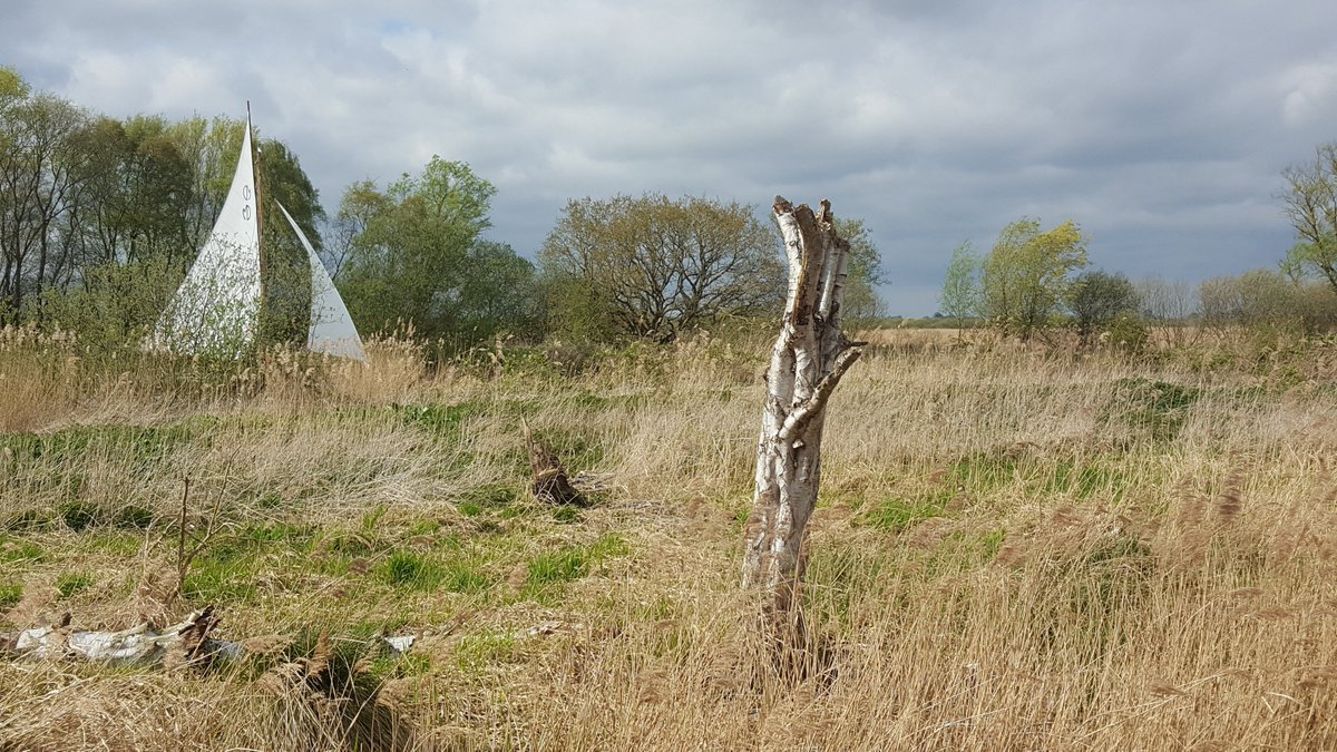 EgalBohen's tweet photo. Poem 'Every breath that we take'

Every breath that we take moves us into our future.
Every breath we let out Is our past left behind.
Our lives but a moment.
A moment of living.
In the air as we drink it.
Imagined In time.

Egal Bohen https://t.co/9jGYD1kscz