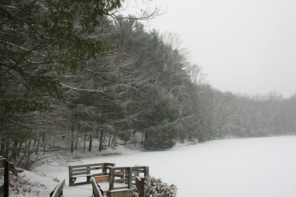 DCNRnews's tweet photo. Snow falling at #ColonelDenningStatePark in #CumberlandCounty. Cross-country skiing and ice skating are two winter activities that can be enjoyed there! Learn more → https://t.co/IoiLDNmuT5 #PAwinter #GetOutdoorsPA https://t.co/MQyKfEfeUh