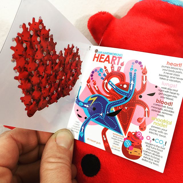 Our #hearts are bursting over our bigger and better ❤️ heart ❤️plush hangtags, chock full of heart-stopping, jaw-dropping facts and details all about your incredible ticker. #cardiology #nurselife #cardio #cardiologist #medstudent #premed #heartfacts #anatomyfacts