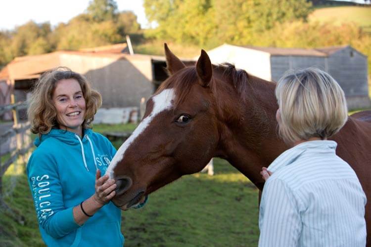 In her latest blog Rosie Withey asks, "What gives your life meaning &amp; purpose?"
horsesasteachers.co.uk/what-gives-you……/