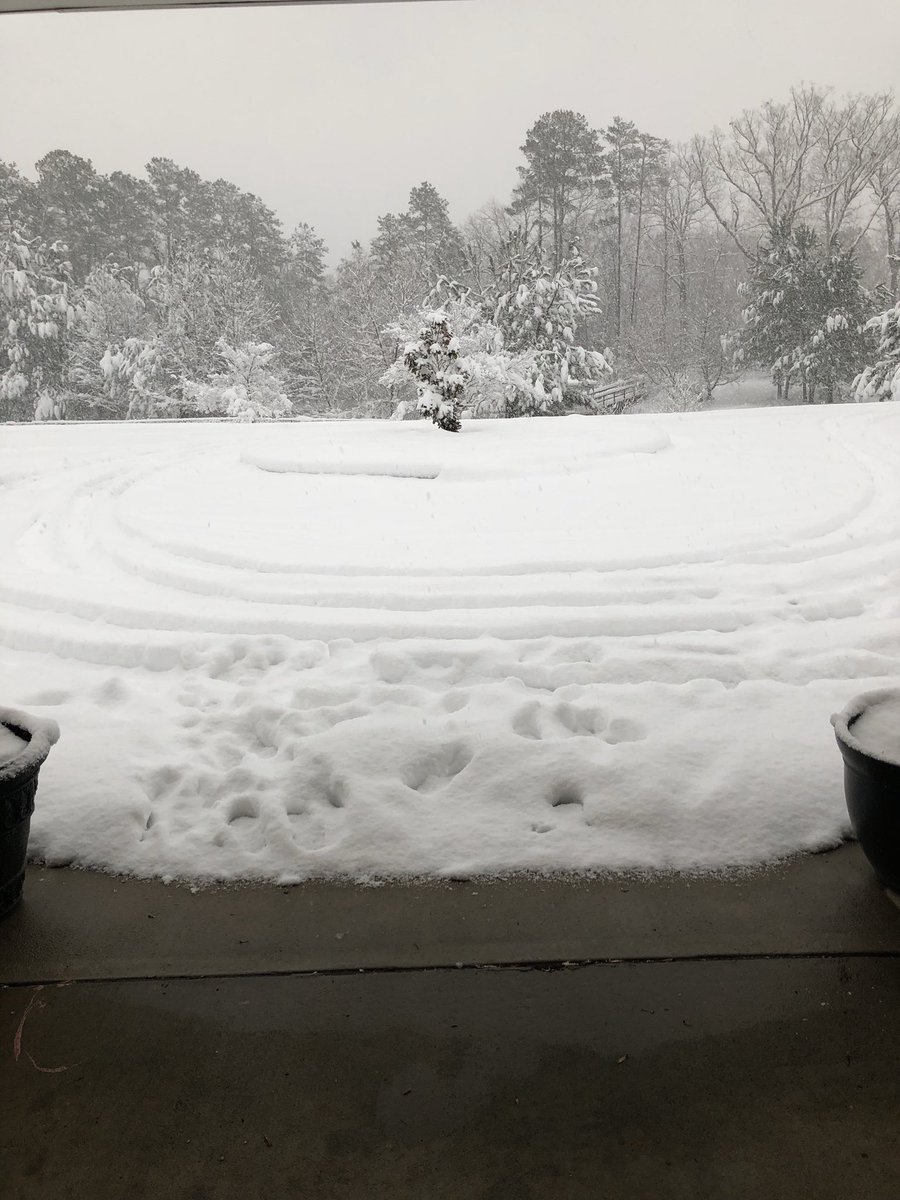 RSIspringglen's tweet photo. Happy Snow Day NC! We hope everyone is ok @RSI_NC!  #snowday2018 https://t.co/GKl7PER8zk