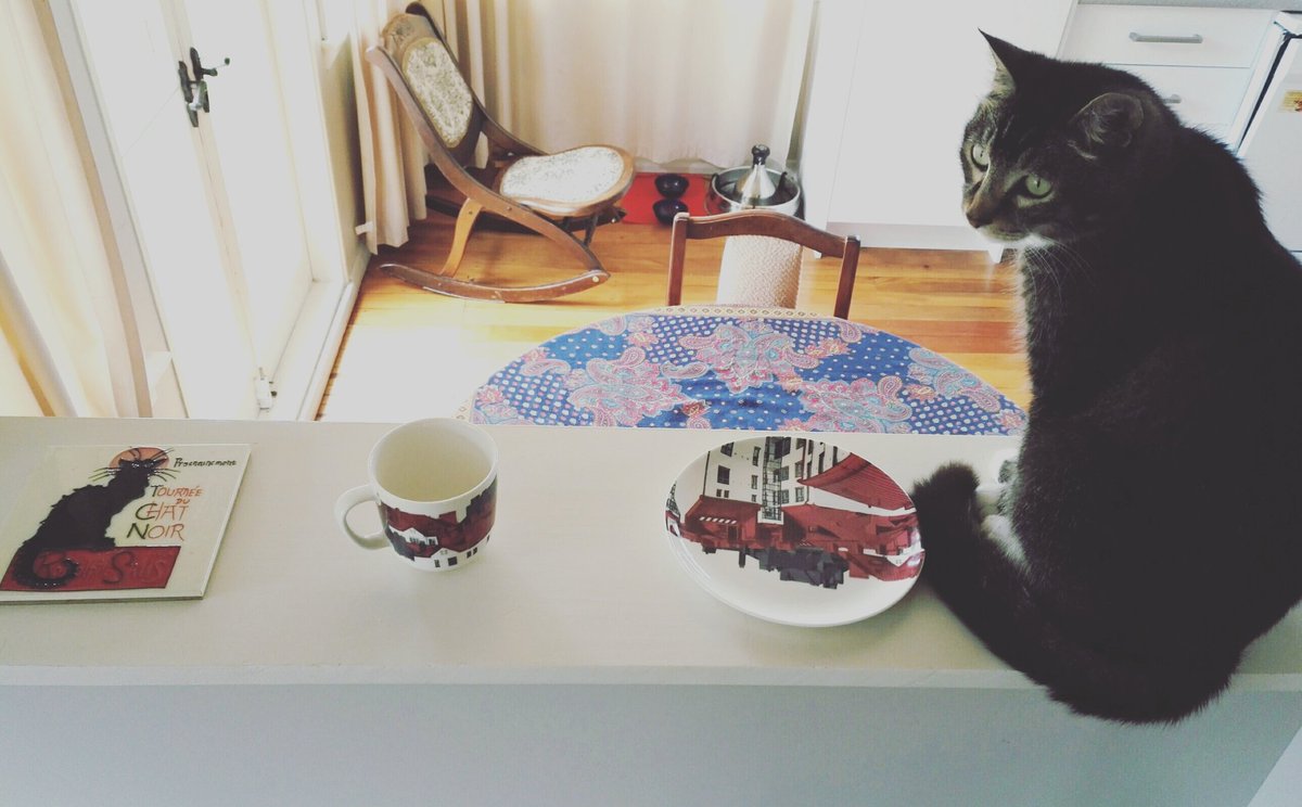 Moomin Del Sur On Twitter Le Chat Noir Et Blanc