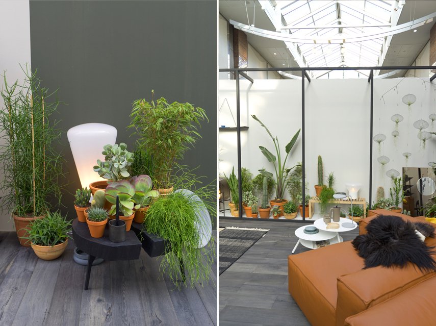 One year ago at <a href="/imm_cologne/">imm_cologne</a> : the 🌿🌱🌵 plant trends we spotted: urbanjunglebloggers.com/plant-trends-f… #immcologne #imm2017 #imm2018 #urbanjunglebloggers