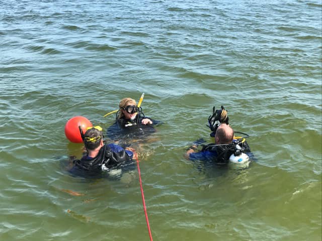 DiveForACause's tweet image. 