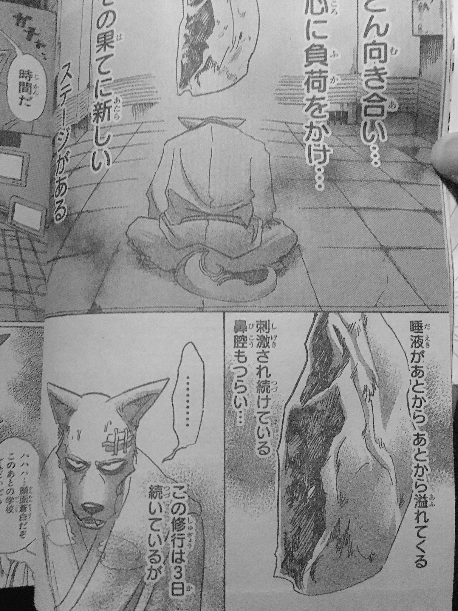 須藤玲司 Twitter ನಲ ಲ Beasters 昼行灯キャラ を卒業し 肉食獣と草食獣の共生のためのヒーローとして覚醒しつつあるレゴシが 抗いがたい肉食の本能を抑制する苦行の果て ついに 食肉 に 個人の名前 を認識する境地に 須藤玲司 Twitter ನಲ ಲ Beasters 昼行灯キャラ を卒業し 肉食獣と草食獣の共生のためのヒーローとして覚醒しつつあるレゴシが 抗いがたい肉食の本能を抑制する苦行の果て ついに 食肉 に 個人の名前 を認識する境地に