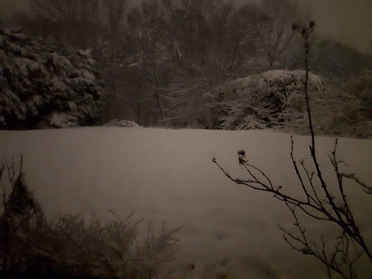 dhuglanark's tweet photo. Spooky #EastKilbride garden. #ThroughTheWindows. Side windae, back windae. https://t.co/QIAhomXR0A