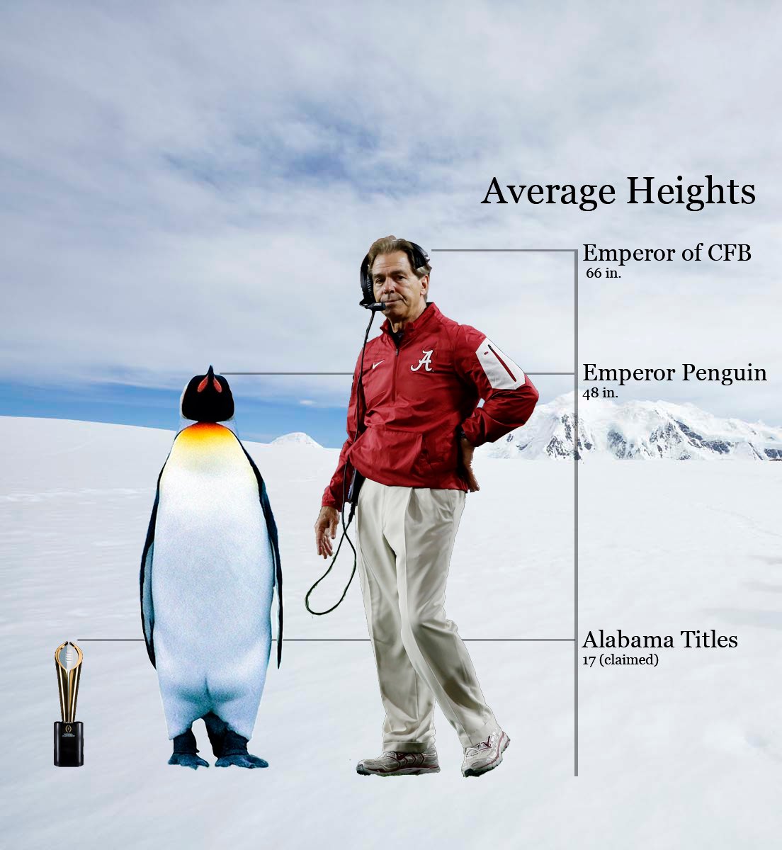 Emperor Penguin Size To Human