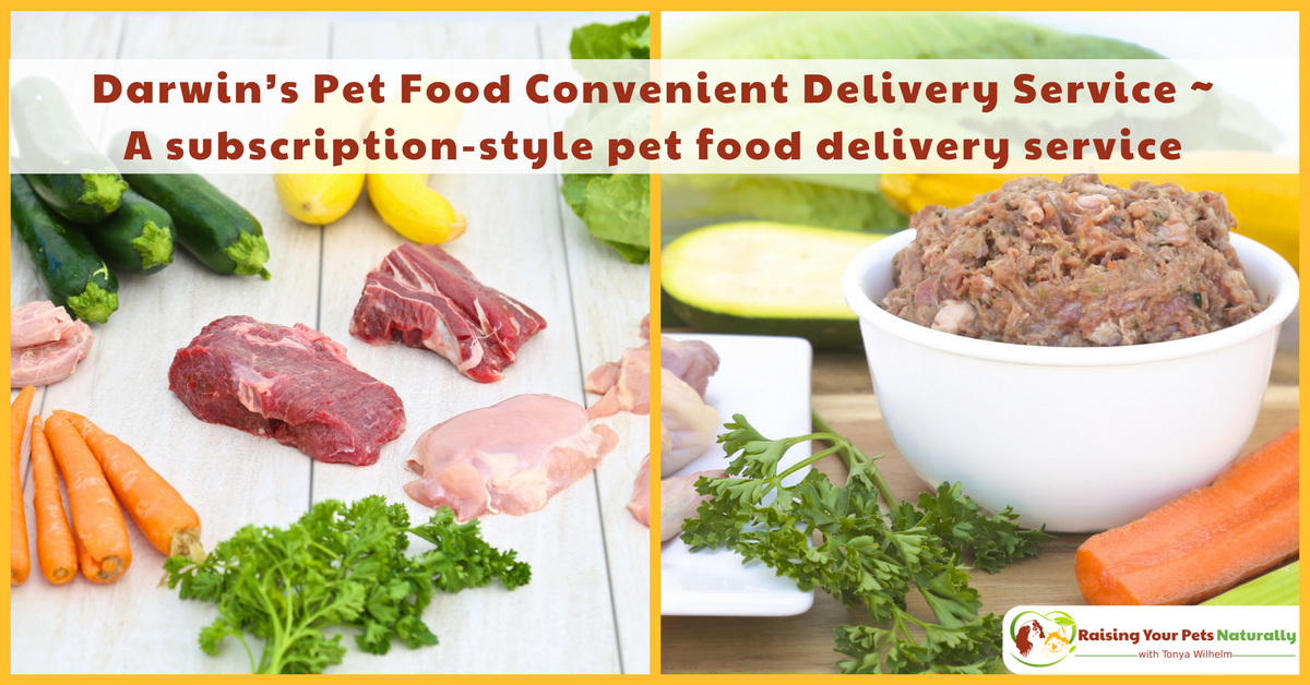 MandyEnrightRD's tweet photo. Don’t let a busy schedule stand in the way of feeding your #pet a #rawpetfood #sponsored Luckily for health-conscious pet parents, @darwinspet offers #NaturalPetFood Delivery right to your door! #rawpets #rawdogfood… https://t.co/BHlGm1YTQi by #LindsayOrganize via @c0nvey https://t.co/39kAATu6Ce