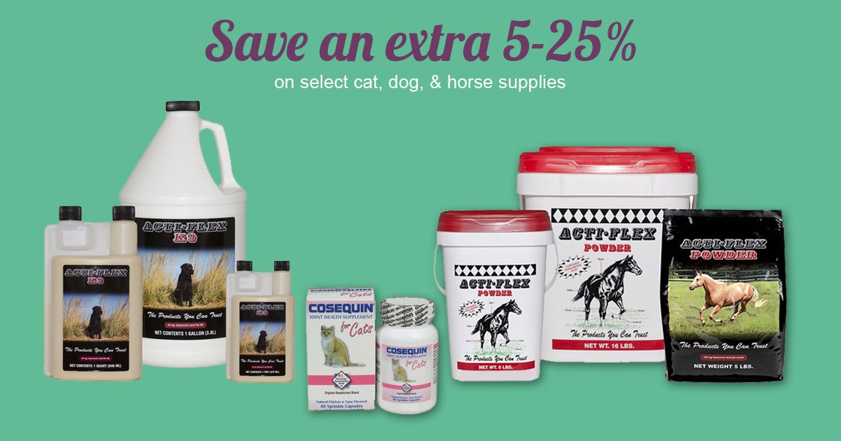 January specials include Acti Flex K9, Acti Flex Powder for horses, and Cosequin for cats! Snag these deals now – offers end 1/31/2018! Shop now >> bit.ly/1OTO7pP
